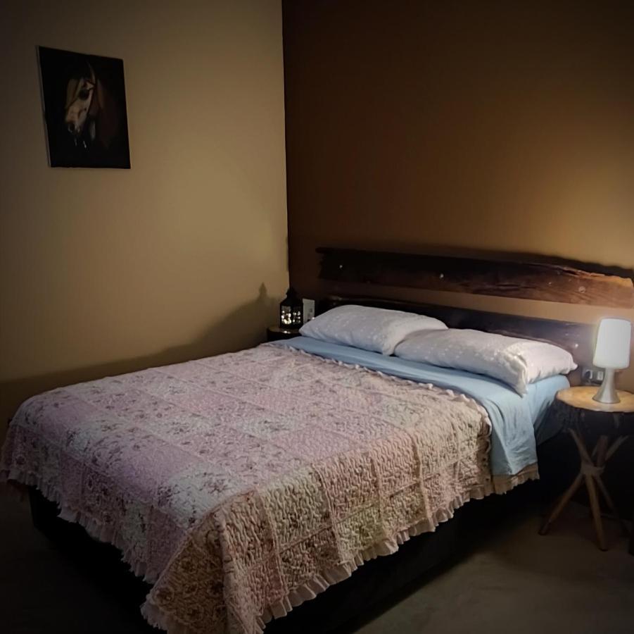 Luchy'S Country House Hostel Ica Kültér fotó